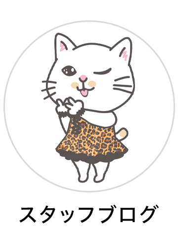 スタッフブログ width=