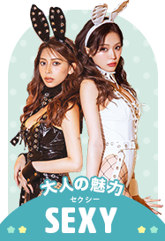 大人の魅力 セクシーコスプレ