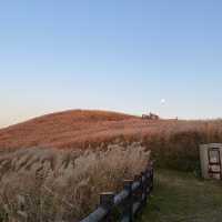 スタッフアイコン