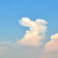 スタッフアイコン