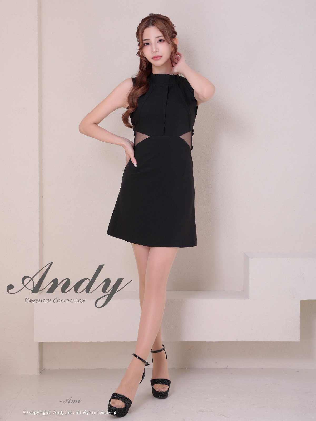 Andy アンディ 高級キャバドレス