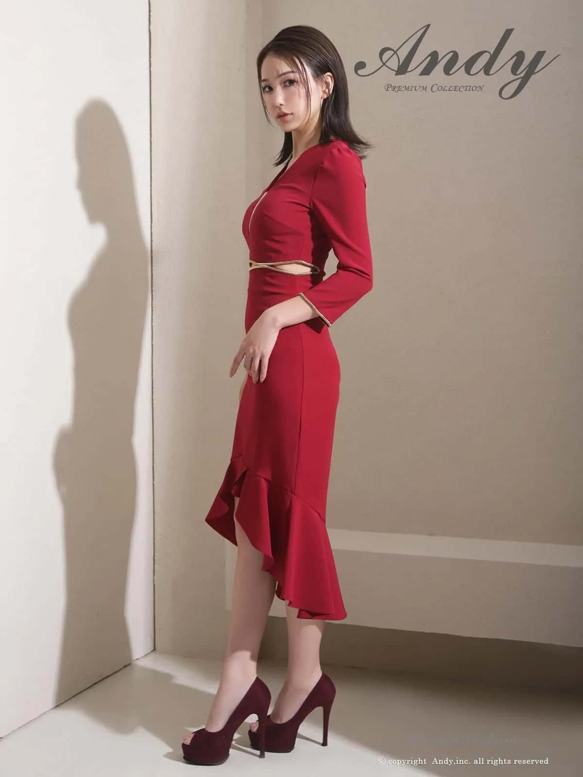 Andy アンディ 高級キャバドレス