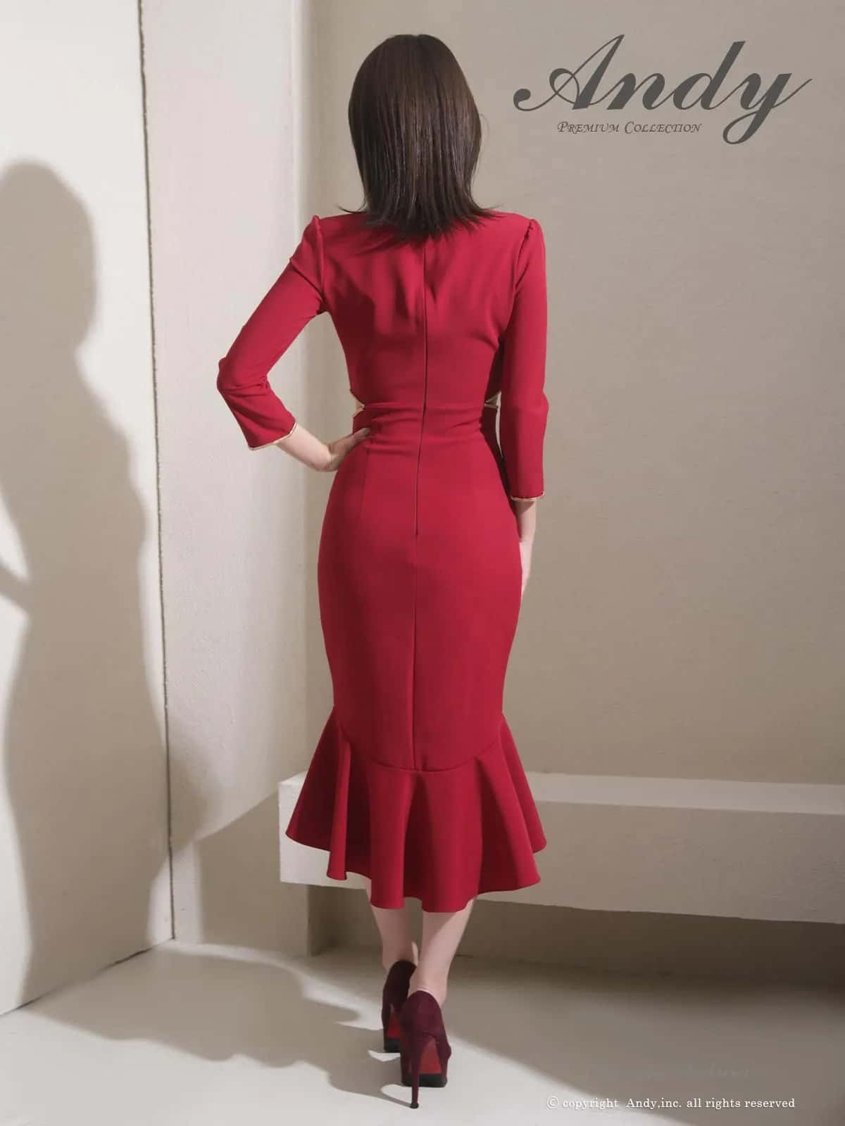 Andy アンディ 高級キャバドレス