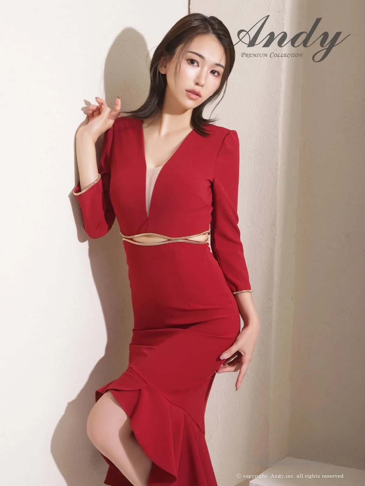 Andy アンディ 高級キャバドレス