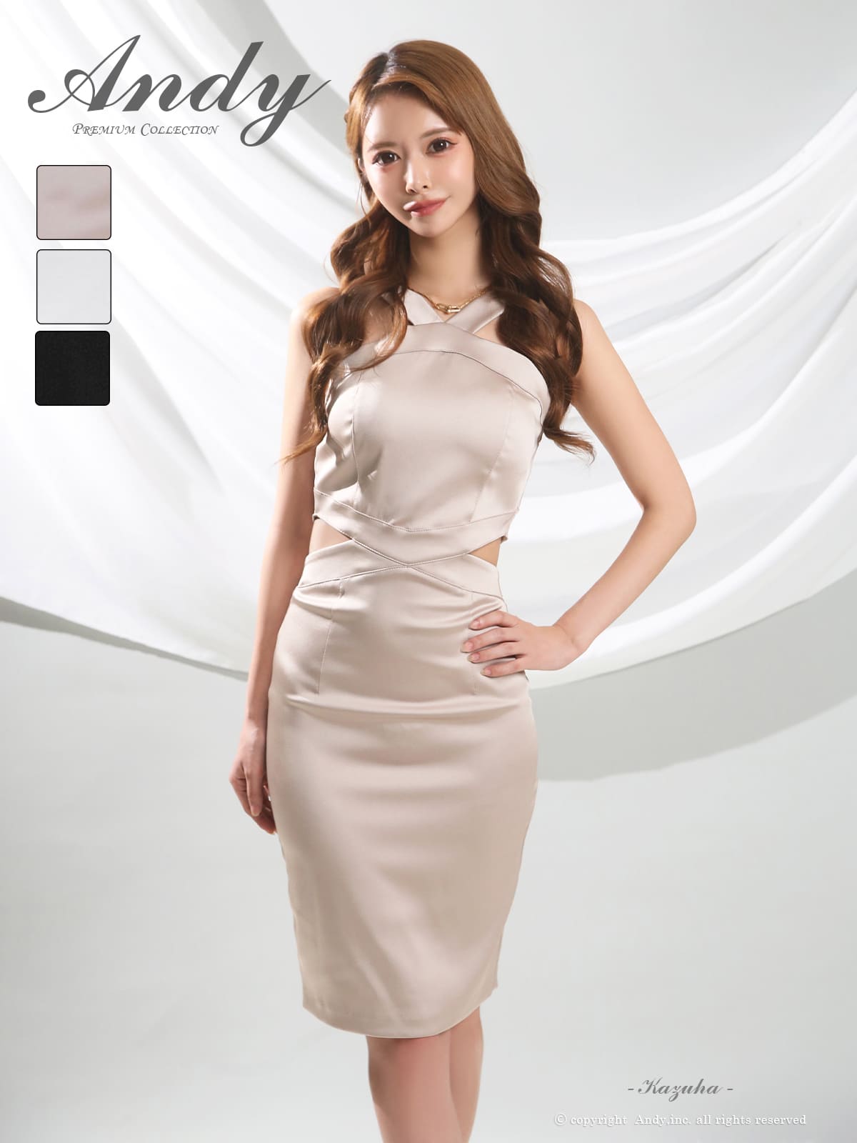 Andy アンディ 高級キャバドレスのカラーバリエーション画像1