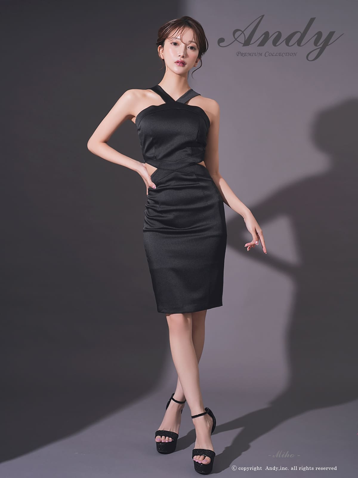 Andy アンディ 高級キャバドレス