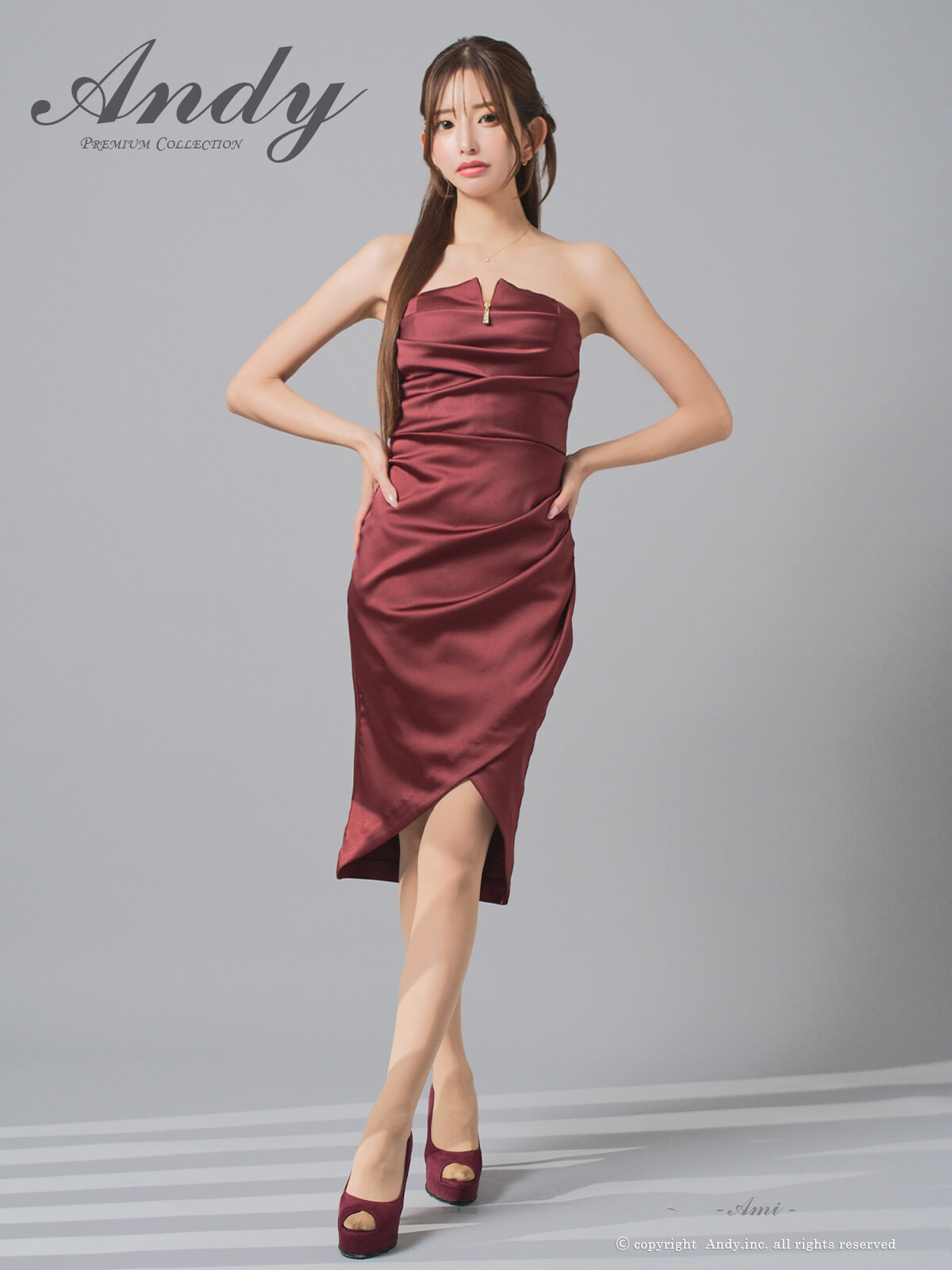 Andy アンディ 高級キャバドレス