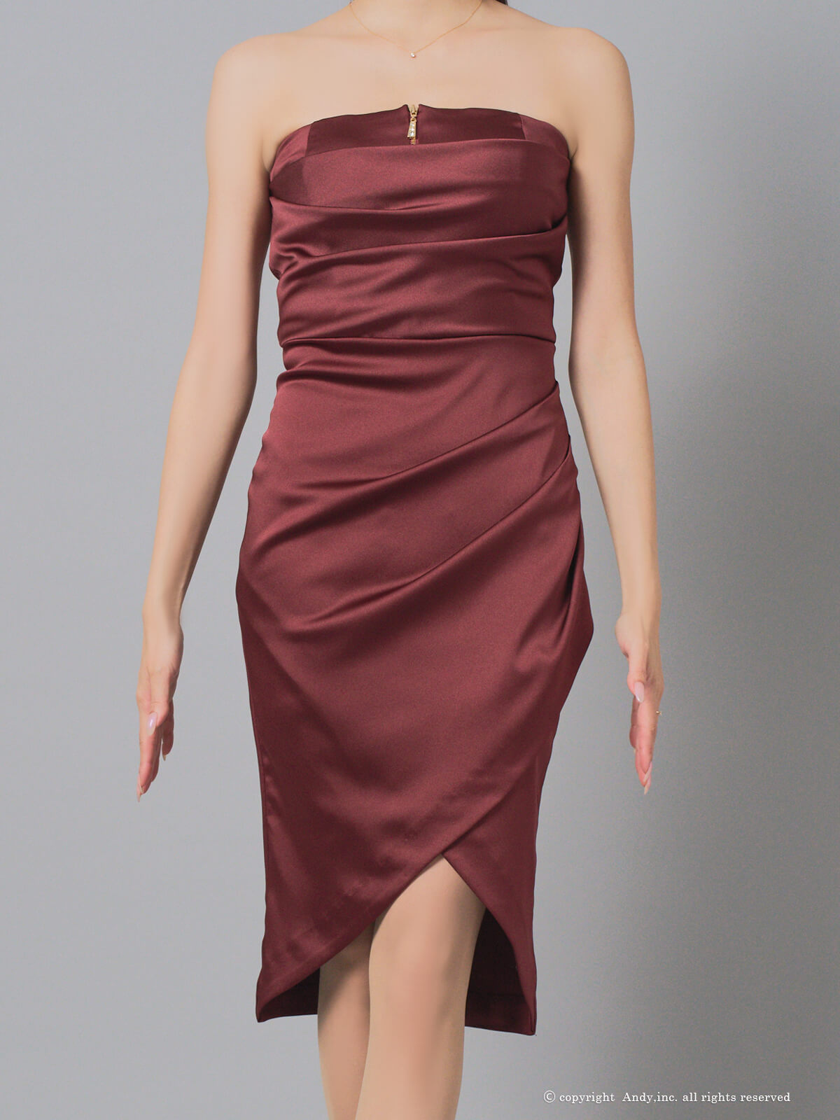 Andy アンディ 高級キャバドレス