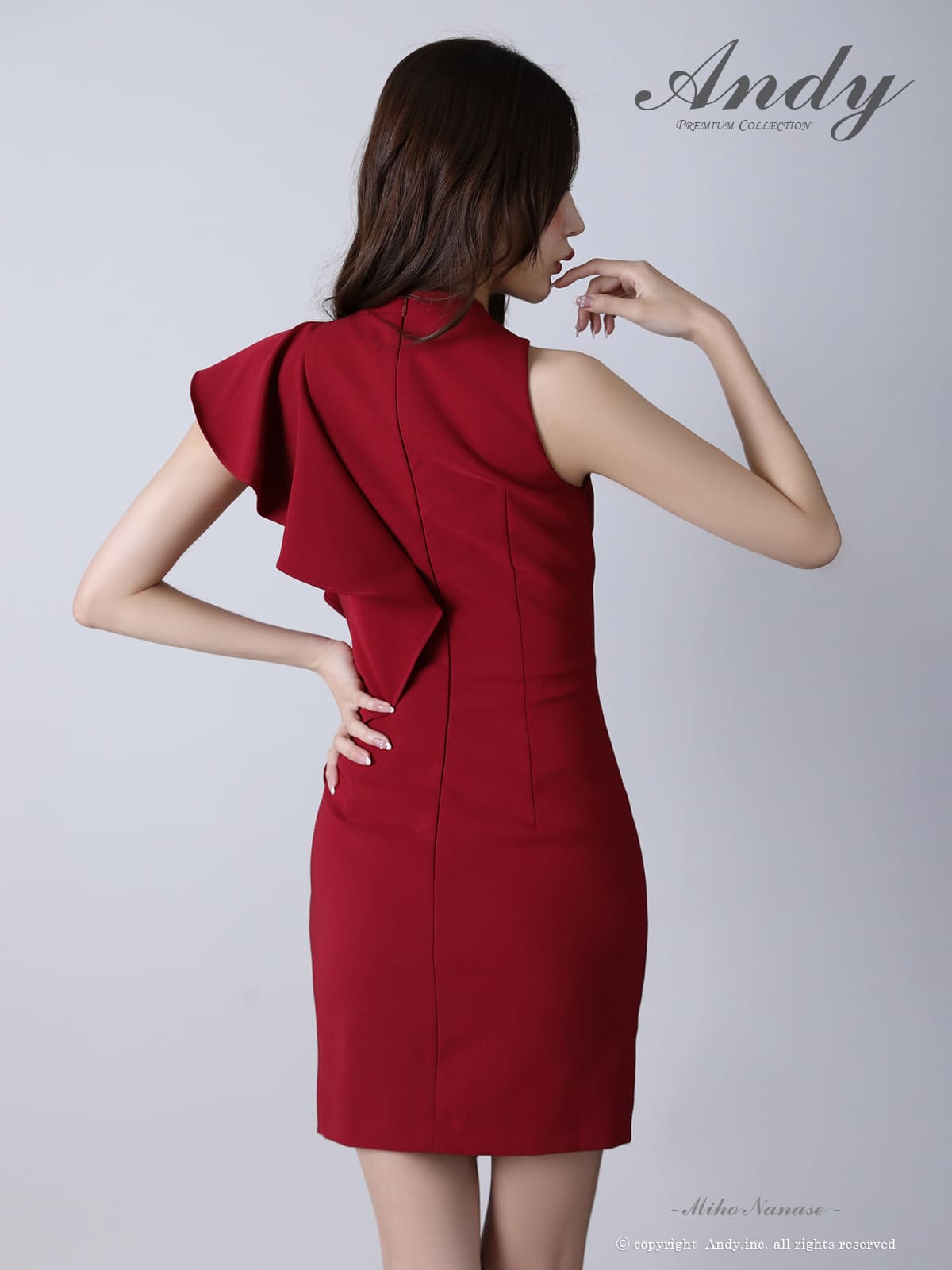 Andy アンディ 高級キャバドレス