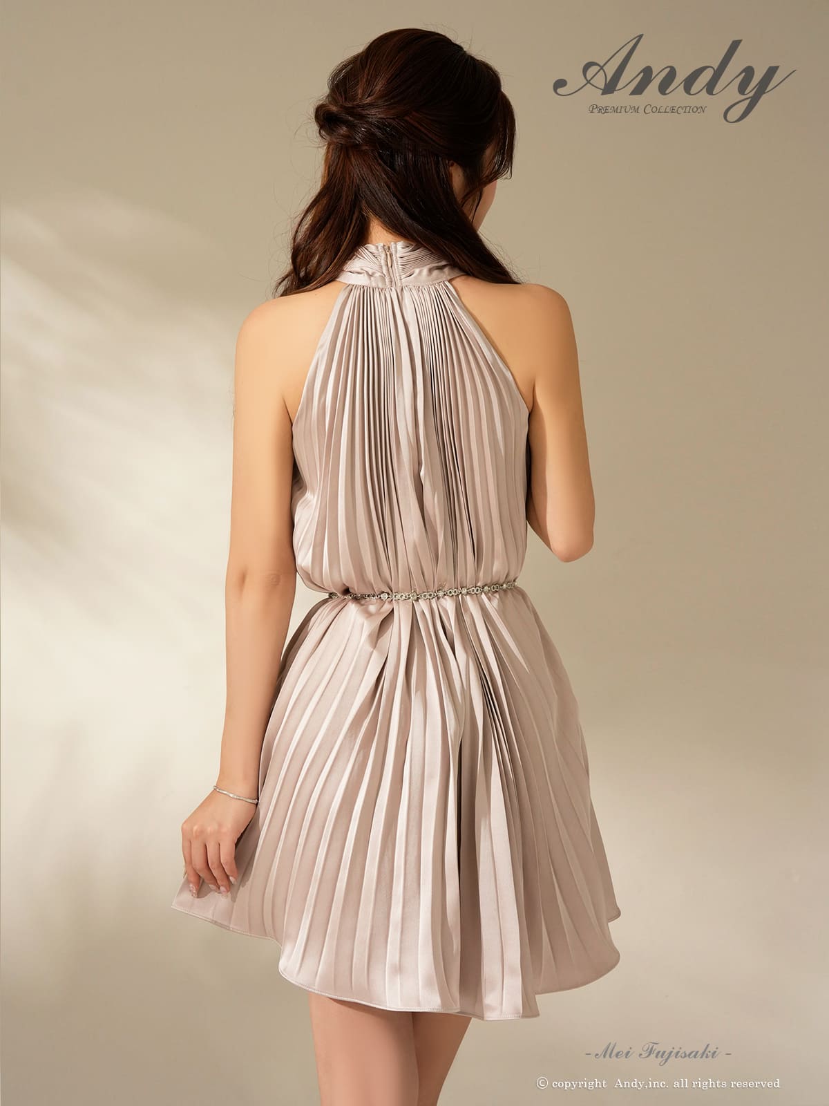 Andy アンディ 高級キャバドレス