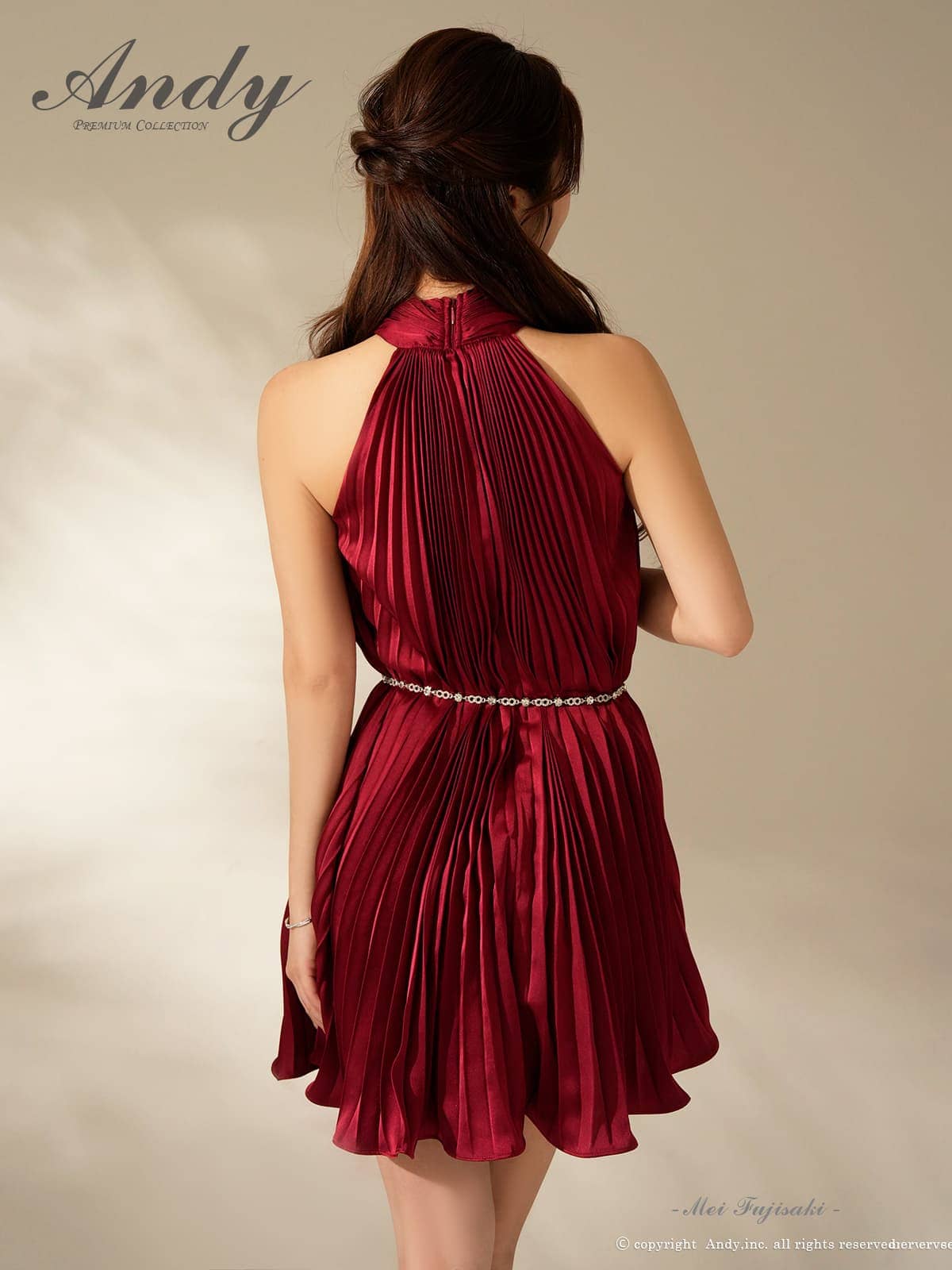Andy アンディ 高級キャバドレス