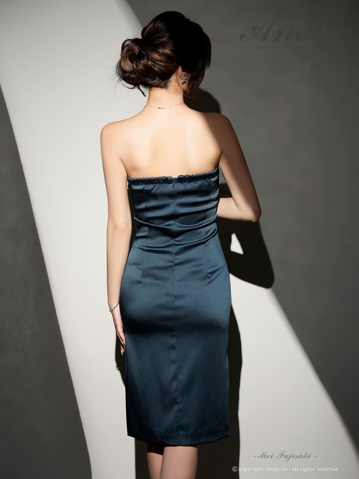 Andy アンディ 高級キャバドレス
