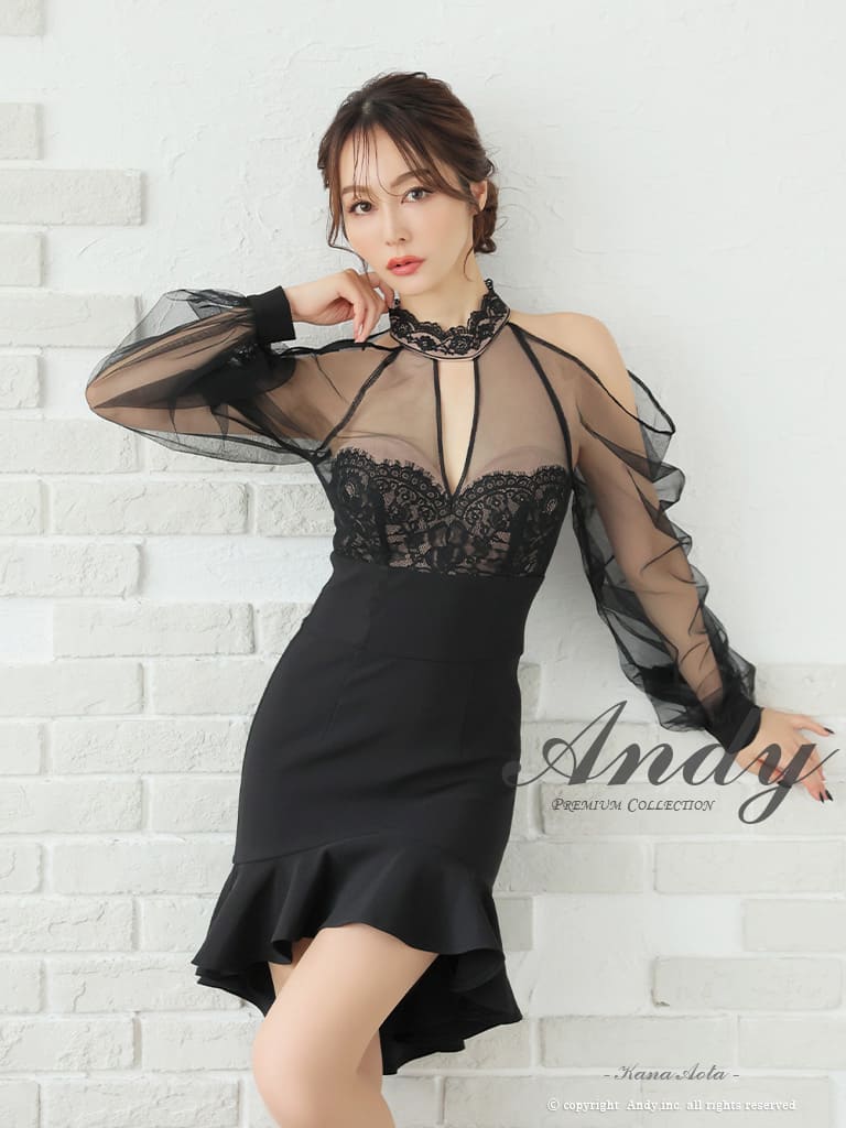 Andy アンディ 高級キャバドレスのカラーバリエーション画像2