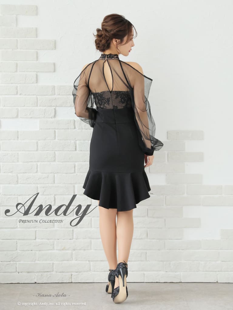Andy アンディ 高級キャバドレス