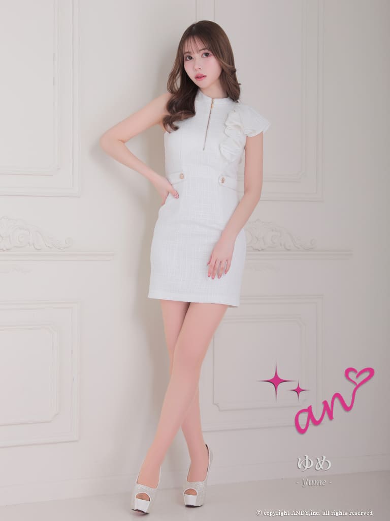 Andy アンディ 高級キャバドレス