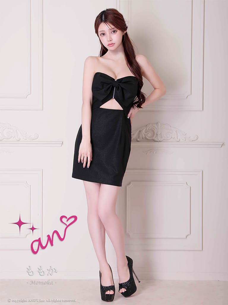 Andy アンディ 高級キャバドレス