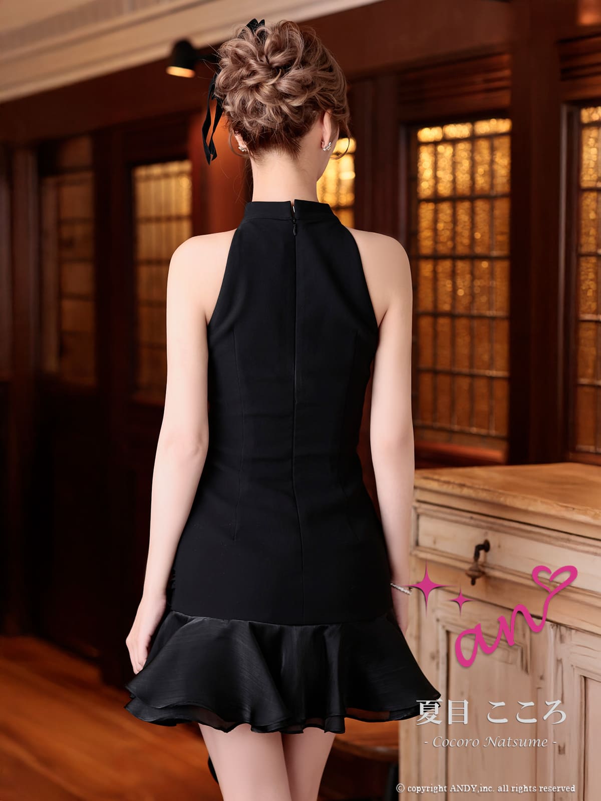 Andy アンディ 高級キャバドレス