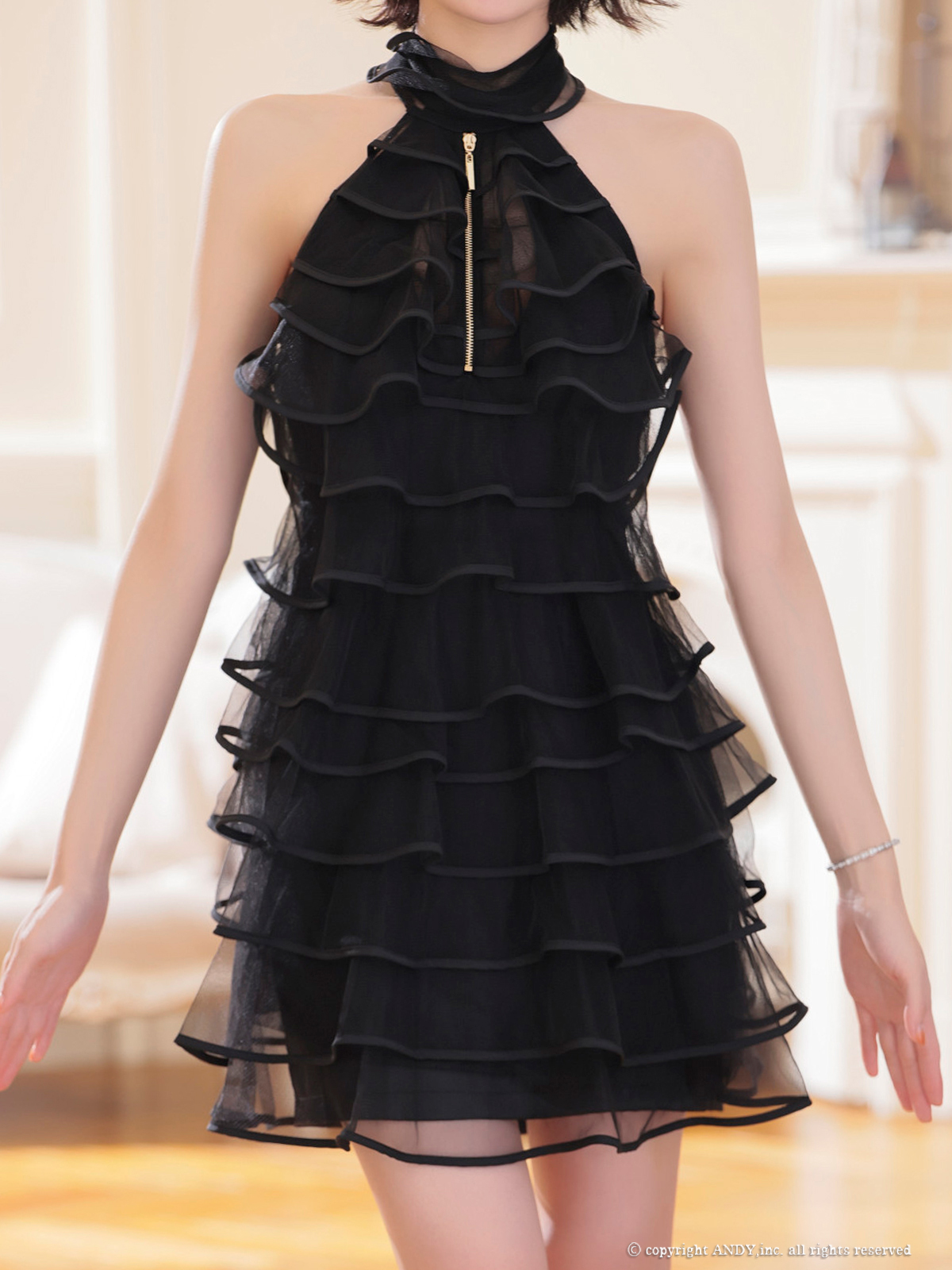 Andy アンディ 高級キャバドレス