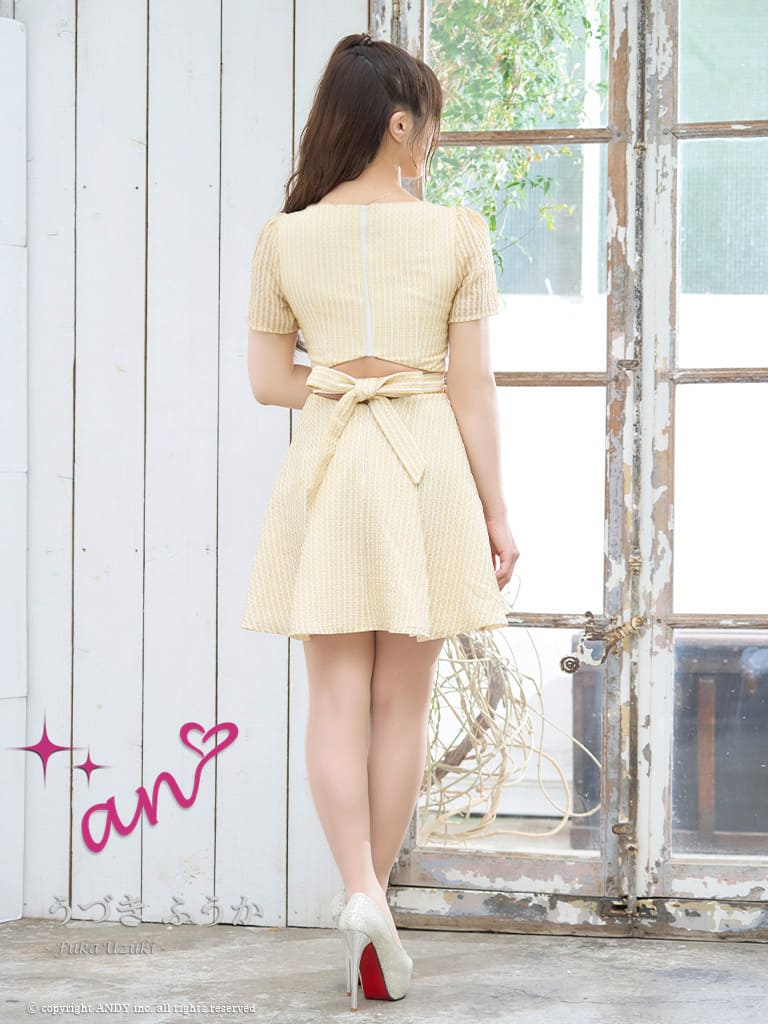 Andy アンディ 高級キャバドレス