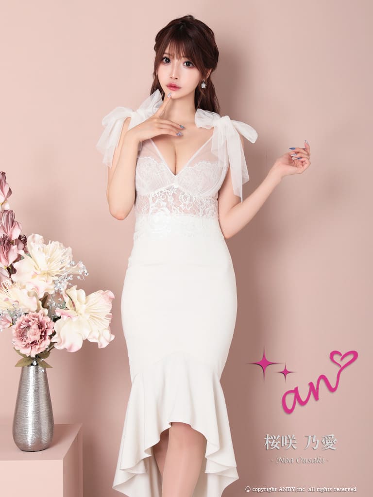 Andy アンディ 高級キャバドレス