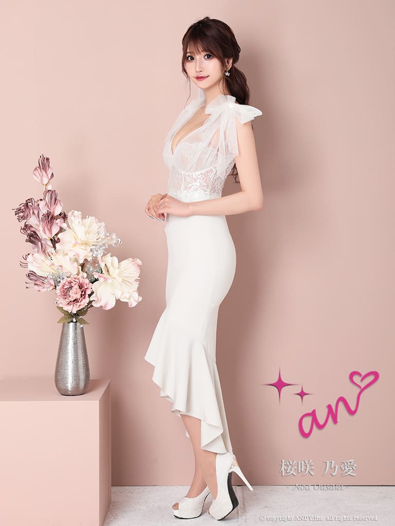 Andy アンディ 高級キャバドレス