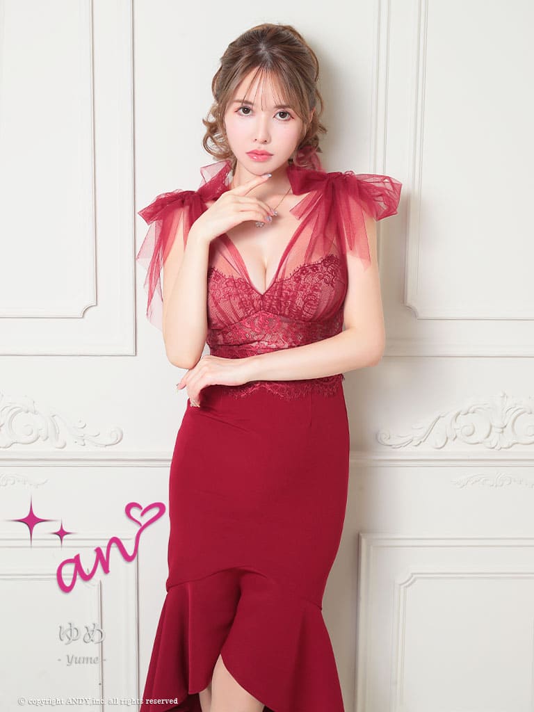 Andy アンディ 高級キャバドレス