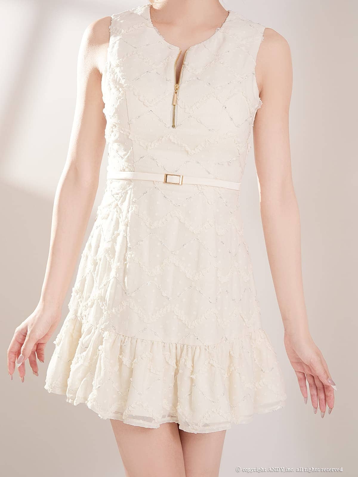 Andy アンディ 高級キャバドレス