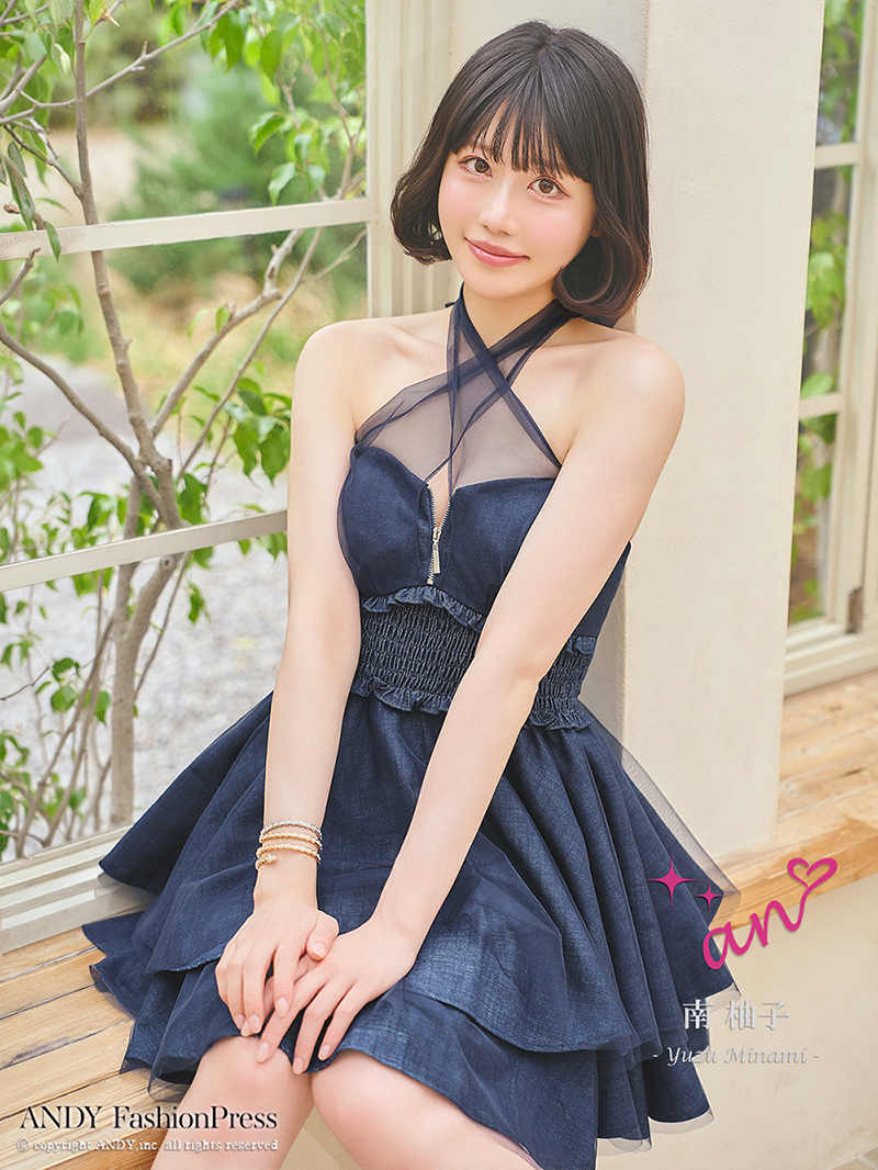 Andy アンディ 高級キャバドレス