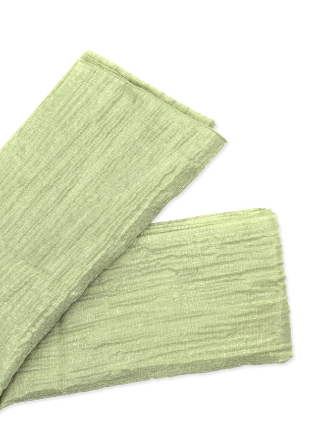 帯詳細 ディティール