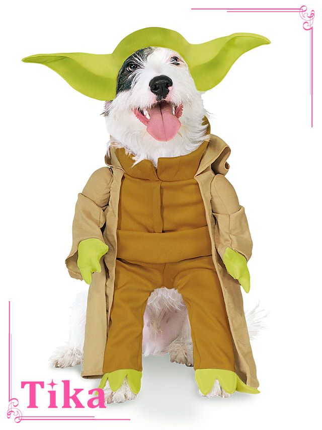 コスプレ衣装 ペット用 スターウォーズ ヨーダドッグハロウィン コスプレ   小型犬~中型犬