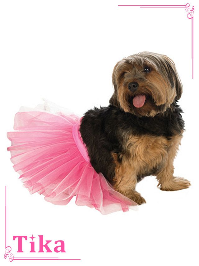 コスプレ衣装 ペット用 ボリュームスカートドッグハロウィン コスプレ   小型犬~中型犬
