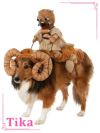 コスプレ衣装 ペット用 スターウォーズ バンサドッグハロウィン コスプレ  中型犬