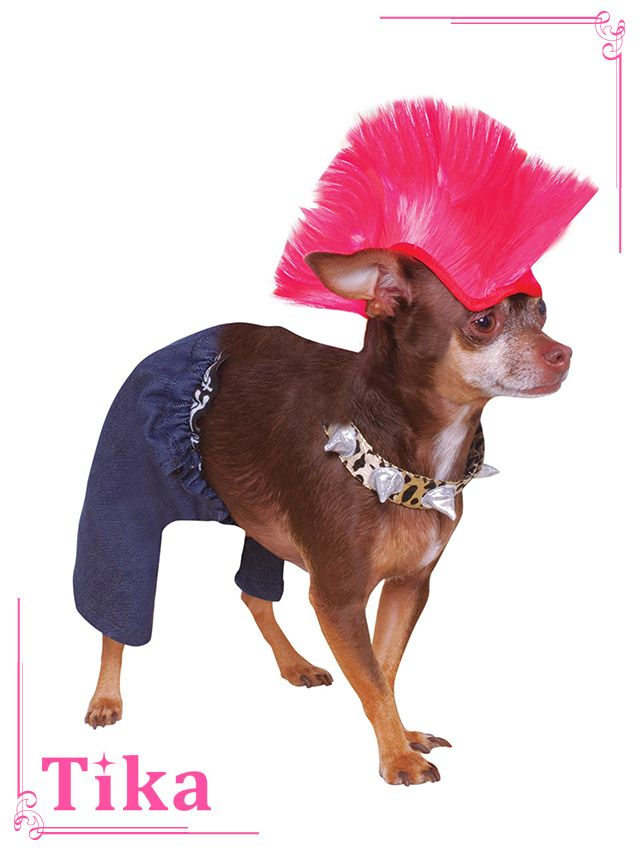 コスプレ衣装 ペット用 パンクロッカードッグハロウィン コスプレ   小型犬~中型犬