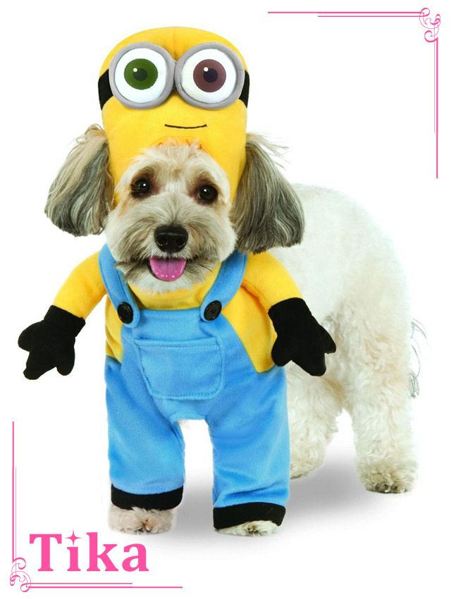 コスプレ衣装 ペット用 ミニオン ボブ ドッグハロウィン コスプレ   中型犬