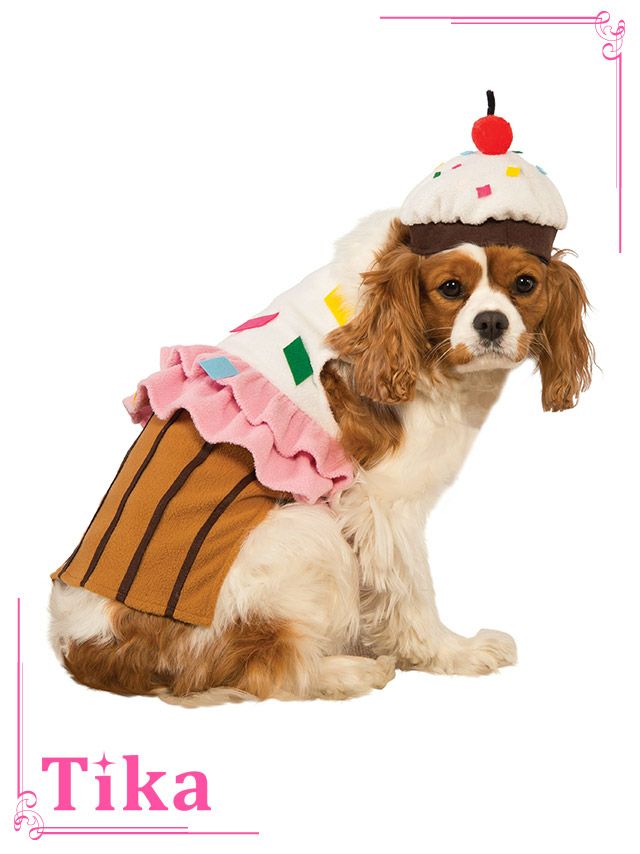 コスプレ衣装 ペット用 カップケーキドッグハロウィン コスプレ   小型犬～中型犬