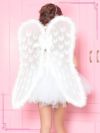 イメージ画像1 小物天使の羽