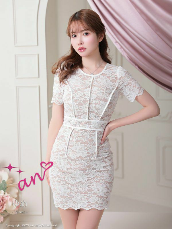 an アン 高級フラワー総レースパイピングウエストマーク半袖タイトミニドレス