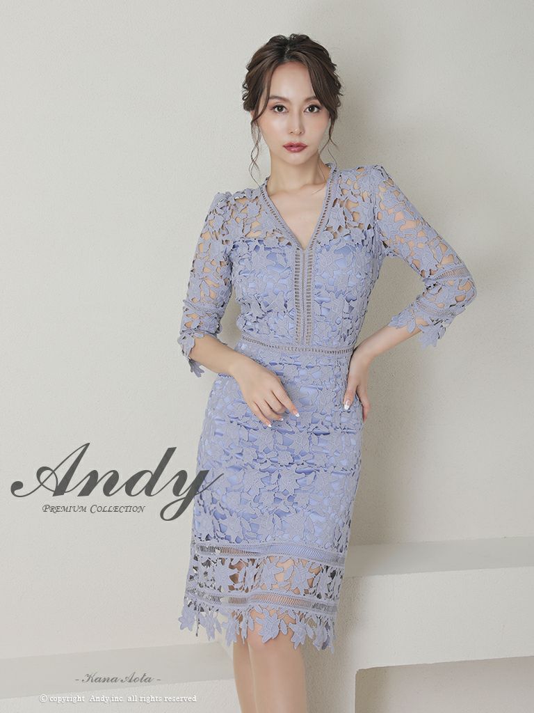 Andy/アンディ] 高級袖ありVネック総レースワンカラー膝丈タイトドレス