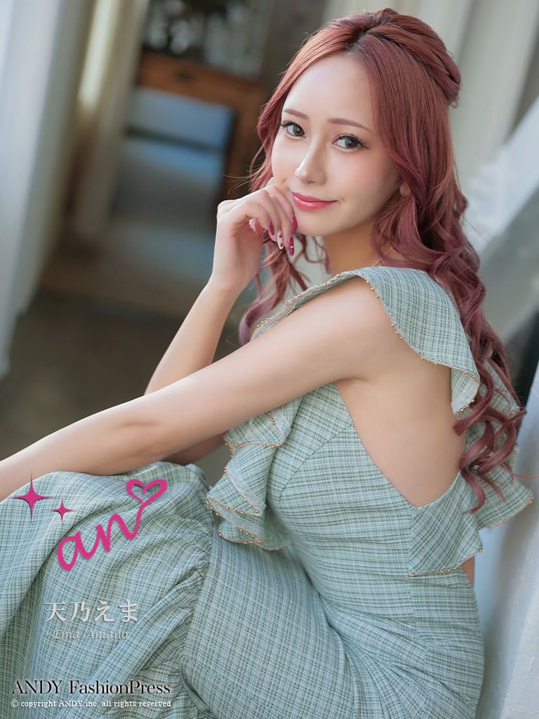 キャバドレス ロングドレス an アン 高級チェック柄フロントジップ胸元フリルノースリーブマーメイドロングドレス