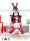 コスプレ サンタ バニー うさぎ 衣装 仮装 クリスマス コスチューム メイド メイド服 制服