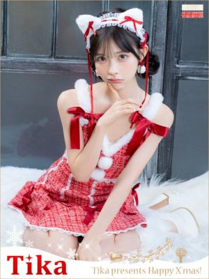 コスプレ サンタ 衣装 仮装 クリスマス バニー うさぎ バニー バニーガール コスチューム