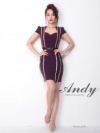キャバドレス Andy アンディ　高級半袖バストカットウエストベルトシンプルタイトミニドレス