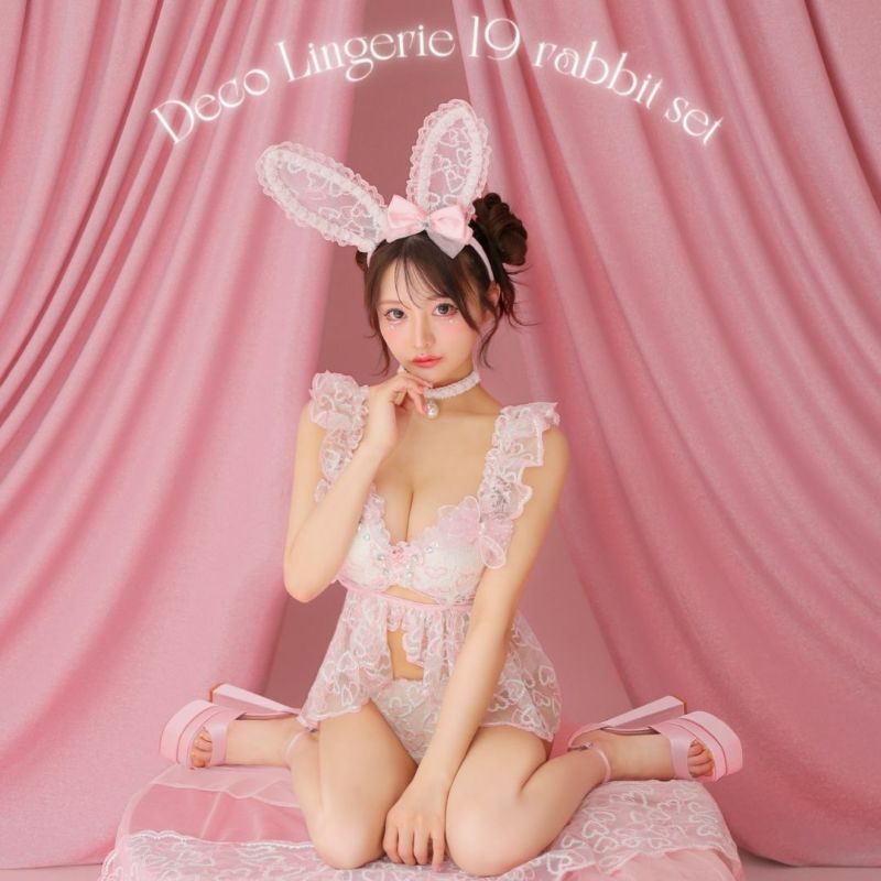 DecoLingerie  デコランジェリー 高級ハート柄刺繍チュールフリルリボンバニーガーリーランジェリー5点セット［ブラジャー/Tバックショーツ/カチューシャ/チョーカー/ウエストフリル]